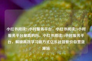 小红书阅读24小时服务平台,小红书阅读24小时服务平台是真的吗,小红书阅读24小时服务平台,解锁高效学习新方式亿乐社区低价自营货源站