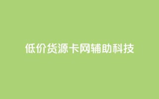 低价货源卡网辅助科技 - 实惠货源卡网络辅助科技全攻略!