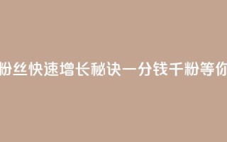 抖音粉丝快速增长秘诀,一分钱千粉等你来抢