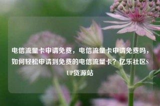 电信流量卡申请免费,电信流量卡申请免费吗,如何轻松申请到免费的电信流量卡?亿乐社区SUP货源站