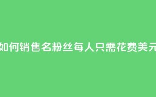 如何销售3000名粉丝,每人只需花费1美元