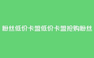 dy粉丝低价卡盟(低价卡盟,抢购dy粉丝!)