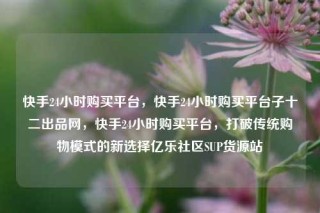 快手24小时购买平台,快手24小时购买平台子十二出品网,快手24小时购买平台,打破传统购物模式的新选择亿乐社区SUP货源站