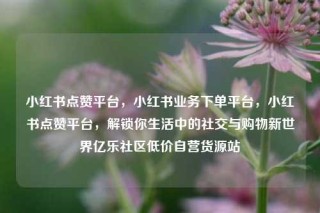 小红书点赞平台,小红书业务下单平台,小红书点赞平台,解锁你生活中的社交与购物新世界亿乐社区低价自营货源站