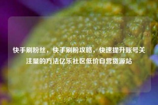 快手刷粉丝，快手刷粉攻略，快速提升账号关注量的方法亿乐社区低价自营货源站
