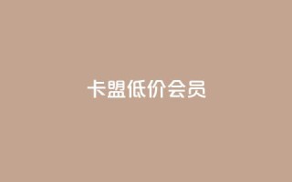 卡盟低价会员 - 低价会员平台,卡盟会员特惠购!!