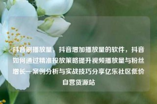 抖音刷播放量,抖音增加播放量的软件,抖音如何通过精准投放策略提升视频播放量与粉丝增长—案例分析与实战技巧分享亿乐社区低价自营货源站