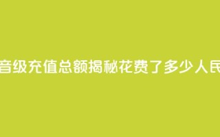 抖音58级充值总额揭秘:花费了多少人民币