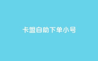 卡盟自助下单dy小号 - 卡盟自助下单代理小号服务解析!