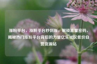 涨粉平台，涨粉平台秒到账，解锁流量密码，揭秘热门涨粉平台背后的力量亿乐社区低价自营货源站