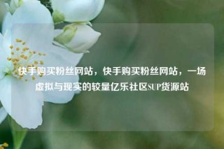 快手购买粉丝网站,快手购买粉丝网站,一场虚拟与现实的较量亿乐社区SUP货源站
