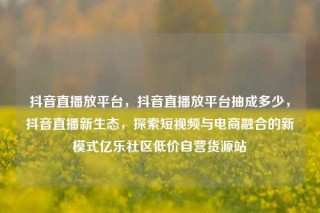 抖音直播放平台,抖音直播放平台抽成多少,抖音直播新生态,探索短视频与电商融合的新模式亿乐社区低价自营货源站