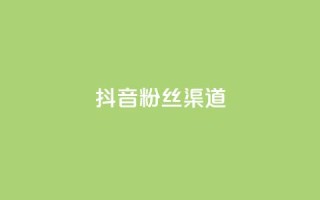 抖音粉丝渠道 - 如何通过抖音提高粉丝获取渠道的效果!