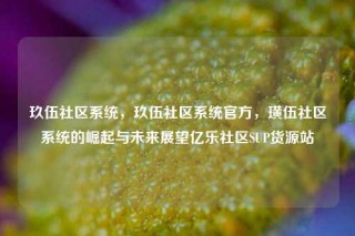 玖伍社区系统，玖伍社区系统官方，璜伍社区系统的崛起与未来展望亿乐社区SUP货源站
