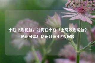 小红书刷粉丝,如何在小红书上高效刷粉丝?秘籍分享!亿乐社区SUP货源站