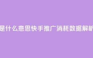 快手推广消耗数据是什么意思 - 快手推广消耗数据解析与意义解读!