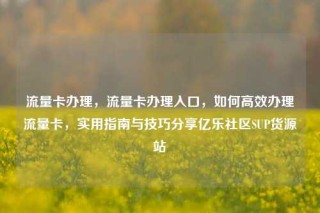 流量卡办理,流量卡办理入口,如何高效办理流量卡,实用指南与技巧分享亿乐社区SUP货源站