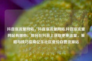 抖音涨流量网站,抖音涨流量网站,抖音涨流量网站有哪些,如何在抖音上获取更多流量,策略与技巧指南亿乐社区低价自营货源站