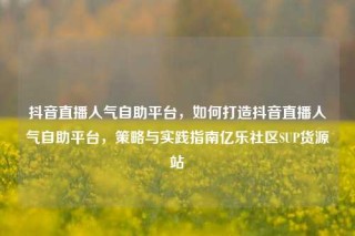 抖音直播人气自助平台,如何打造抖音直播人气自助平台,策略与实践指南亿乐社区SUP货源站