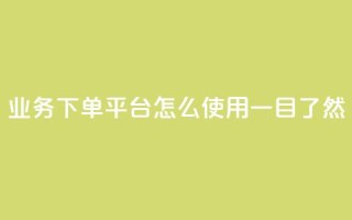 KS业务下单平台怎么使用,一目了然