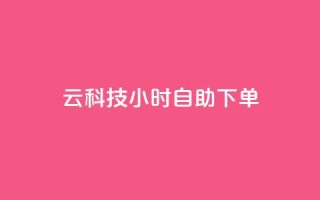 12云科技24小时自助下单 - 12云科技全天候在线自助下单服务,便捷高效!。