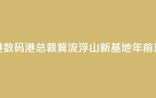 香港数码港总裁:冀流浮山新基地2030年前落成