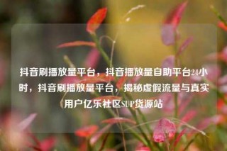抖音刷播放量平台,抖音播放量自助平台24小时,抖音刷播放量平台,揭秘虚假流量与真实用户亿乐社区SUP货源站