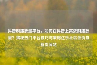 抖音刷播放量平台,如何在抖音上高效刷播放量?揭秘热门平台技巧与策略亿乐社区低价自营货源站