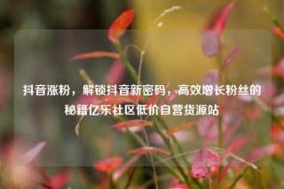 抖音涨粉,解锁抖音新密码,高效增长粉丝的秘籍亿乐社区低价自营货源站