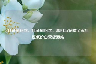 抖音刷粉丝,抖音刷粉丝,真相与策略亿乐社区低价自营货源站