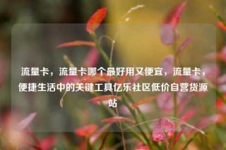 流量卡,流量卡哪个最好用又便宜,流量卡,便捷生活中的关键工具亿乐社区低价自营货源站