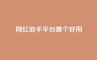 网红助手平台哪个好用,抖音这么一元买1000赞 - 拼多多助力在线 - 拼多多助力50元元宝要多少人