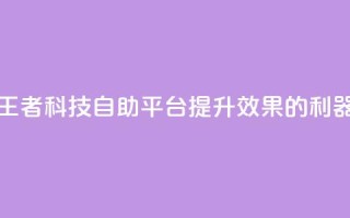 王者科技自助平台:提升SEO效果的利器