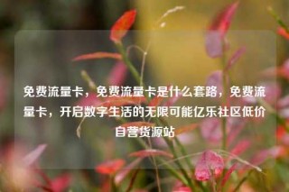 免费流量卡,免费流量卡是什么套路,免费流量卡,开启数字生活的无限可能亿乐社区低价自营货源站