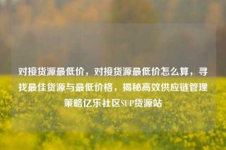 对接货源最低价,对接货源最低价怎么算,寻找最佳货源与最低价格,揭秘高效供应链管理策略亿乐社区SUP货源站