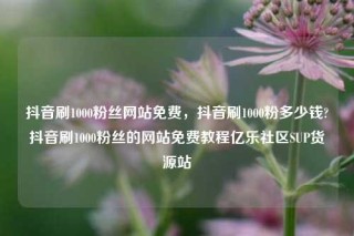 抖音刷1000粉丝网站免费,抖音刷1000粉多少钱?抖音刷1000粉丝的网站免费教程亿乐社区SUP货源站