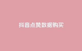 抖音点赞数据购买 - 如何购买抖音点赞数据,快速提升粉丝人气~