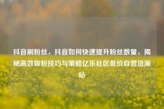 抖音刷粉丝,抖音如何快速提升粉丝数量,揭秘高效吸粉技巧与策略亿乐社区低价自营货源站