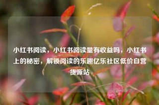小红书阅读,小红书阅读量有收益吗,小红书上的秘密,解锁阅读的乐趣亿乐社区低价自营货源站