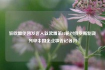 驻欧盟使团发言人就欧盟第17轮对俄罗斯制裁列单中国企业事答记者问