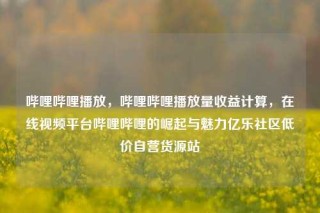 哔哩哔哩播放,哔哩哔哩播放量收益计算,在线视频平台哔哩哔哩的崛起与魅力亿乐社区低价自营货源站