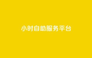 dy24小时自助服务平台 - 24小时在线自助服务平台dy,帮助您随时解决问题!