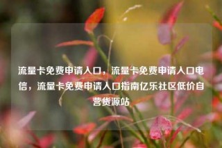 流量卡免费申请入口,流量卡免费申请入口电信,流量卡免费申请入口指南亿乐社区低价自营货源站
