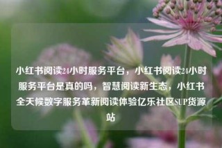 小红书阅读24小时服务平台,小红书阅读24小时服务平台是真的吗,智慧阅读新生态,小红书全天候数字服务革新阅读体验亿乐社区SUP货源站