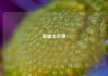 流量卡办理