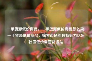 一手货源低价商品,一手货源低价商品怎么卖,一手货源低价商品,探索市场的独特魅力亿乐社区低价自营货源站