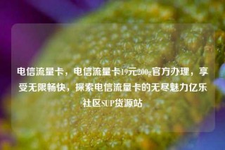 电信流量卡，电信流量卡19元200g官方办理，享受无限畅快，探索电信流量卡的无尽魅力亿乐社区SUP货源站
