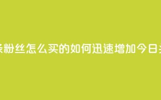 今日头条粉丝怎么买的(如何迅速增加今日头条粉丝)