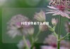 抖音放单是什么意思
