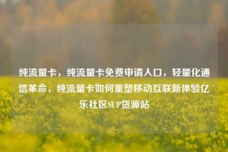 纯流量卡,纯流量卡免费申请入口,轻量化通信革命,纯流量卡如何重塑移动互联新体验亿乐社区SUP货源站